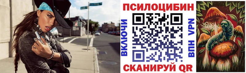 Псилоцибиновые грибы Magic Shrooms  Багратионовск 
